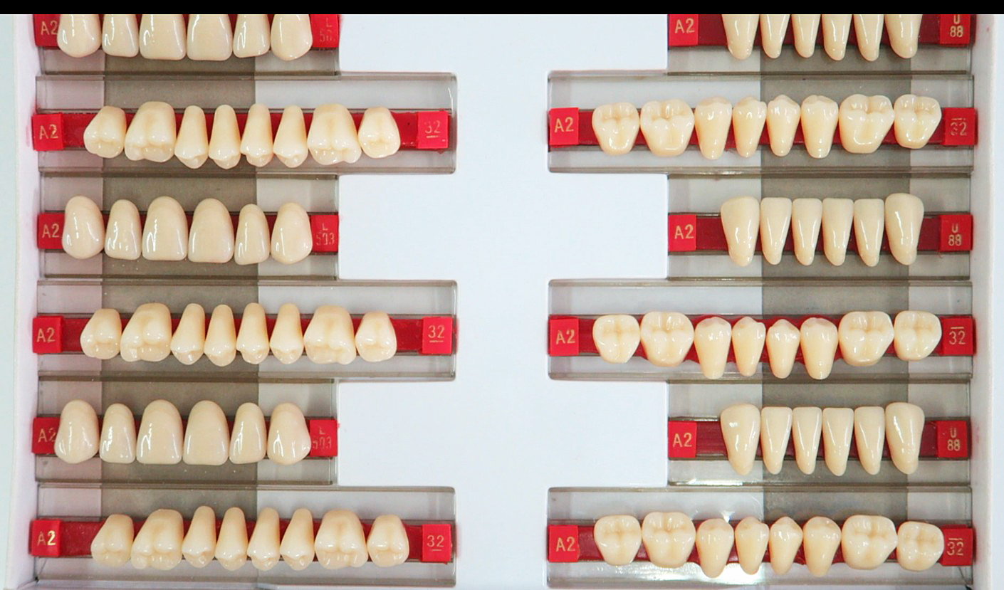 SA41 Four Layer Acrylic Resin Teeth